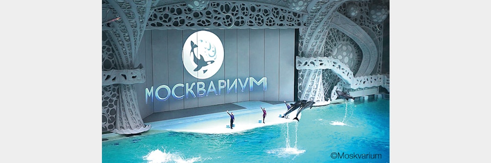 Klimatisierung fürs Delfinarium mit RadiPac - Radialventilatoren