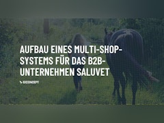 Aufbau eines Multi-Shop-Systems für das Unternehmen SaluVet