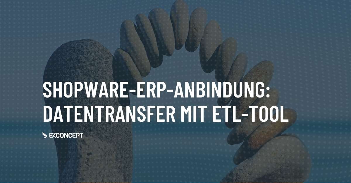 Der Prozess des Datenaustausches am Beispiel einer Shopware ERP-Anbindung