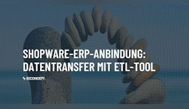 Der Prozess des Datenaustausches am Beispiel einer Shopware ERP-Anbindung