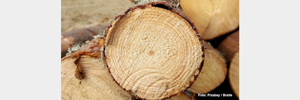 Darum spielen Holzpellets im Explosionsschutz eine Rolle