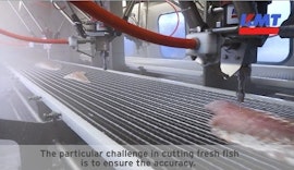 Valka - Hersteller von Maschinen zur Fischverarbeitung - Wasserstrahlschneiden von Fisch